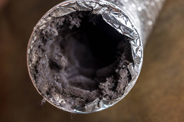 Best Affordable Air Duct Cleaning  in USA